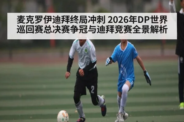 麦克罗伊迪拜终局冲刺 2026年DP世界巡回赛总决赛争冠与迪拜竞赛全景解析